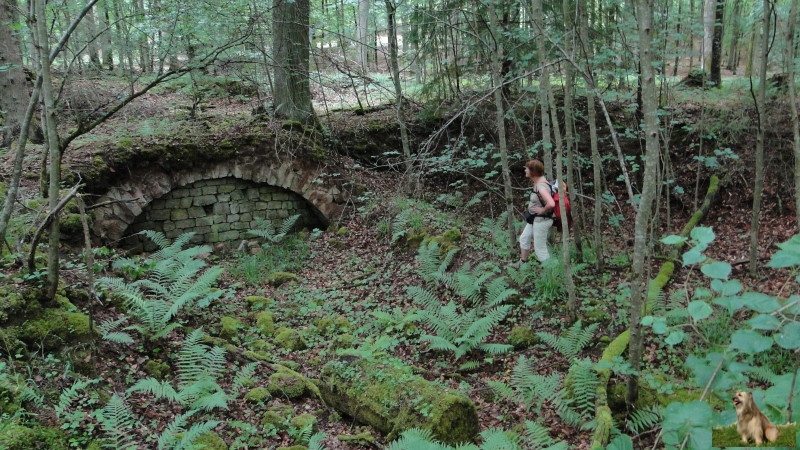 Ritterstein Nr. 201-4a Ruine Fauner Hof.JPG - Ritterstein Nr.201 Ruine Faunerhof